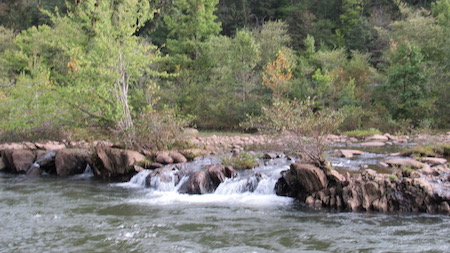 Cherokee National Forest