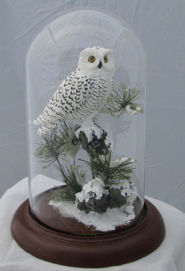 WBDeSelms_SnowyOwl